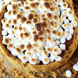 Frozen Smores Cheesecake!